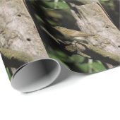 Papier Cadeau Phylloscopus collybita (Coin rond)