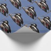 Papier Cadeau Pic mou (Coin)
