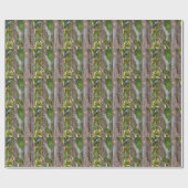 Papier Cadeau Picus Viridis - Grünspecht (Plat)
