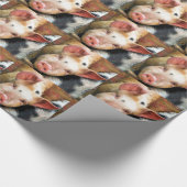 PAPIER CADEAU PIÈCES (Coin)