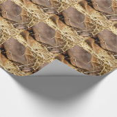 PAPIER CADEAU PIÈCES (Coin)