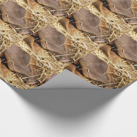 PAPIER CADEAU PIÈCES (Coin)