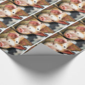 PAPIER CADEAU PIÈCES (Coin)