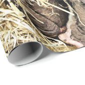 PAPIER CADEAU PIÈCES FRAÎCHES (Coin rond)