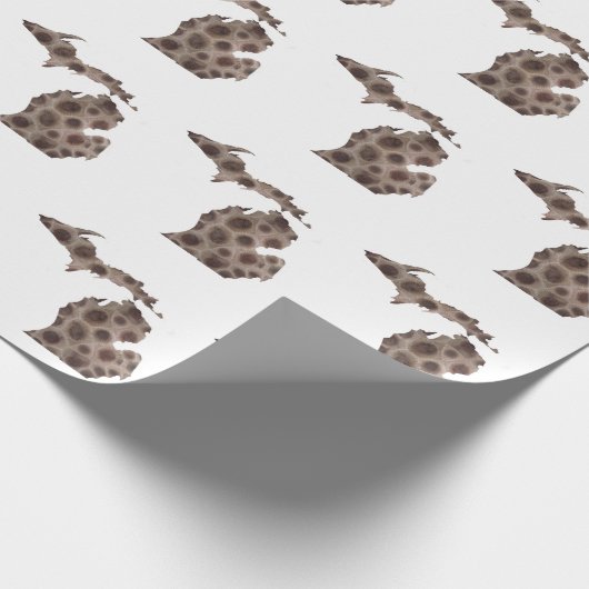 Papier Cadeau Pierre de Petoskey (Coin)