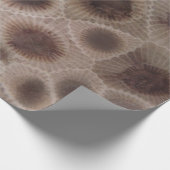 Papier Cadeau Pierre de Petoskey Michigan État fossile de pierre (Coin)