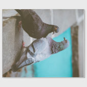 Papier Cadeau Pigeons (Plat)