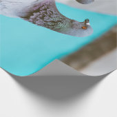 Papier Cadeau Pigeons (Coin)