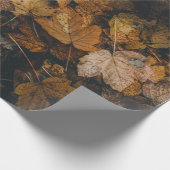 PAPIER CADEAU PILE DE FEUILLES BROWN EN MAPLE (Coin)