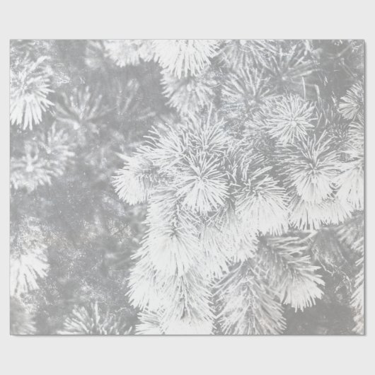 Papier Cadeau Pin de Noël blanc (Plat)