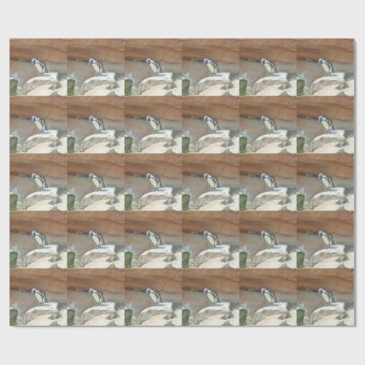 Papier Cadeau Pingouin, Faune, Animal, Oiseau sauvage, Zoo, Été (Plat)