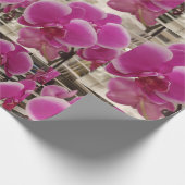 Papier Cadeau Pink Christmas (Coin)