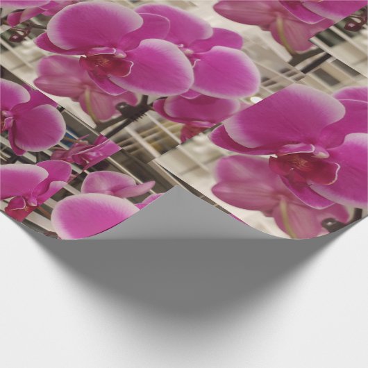 Papier Cadeau Pink Christmas (Coin)