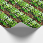 Papier Cadeau Pink Lady Slipper sauvage orchidée (Coin)