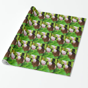 Papier Cadeau Pink Lady Slipper sauvage orchidée