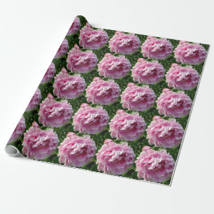 Papier Cadeau Pink Peony photo cottage ferme jardin fleuri