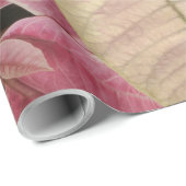 Papier Cadeau Pink Poinsettias (Coin rond)