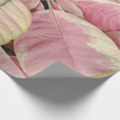 Papier Cadeau Pink Poinsettias (Coin)