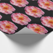 Papier Cadeau Pink Rose w/ Dew Drops Black Background (Coin)