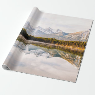 PAPIER CADEAU PINS VERTS AU BORD DU CORPS D'EAU PENDANT LA JOYTI