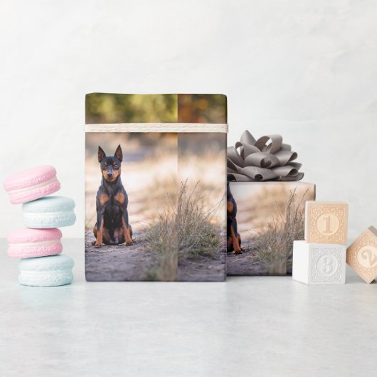 Papier Cadeau Pinscher Nain Assis (Baby Shower)
