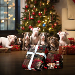 Papier Cadeau Pitties adorables Rich Red Christmas Amoureux de l<br><div class="desc">Les mignons chiots en terre Pitbull sont prêts et attendent Noël, des couleurs riches profondes avec des cadeaux de Noël et des rubans rouges.. merveilleux papier de Noël pour envelopper vos cadeaux dans cette année, un must pour les familles pitbulles aimées ou tout amoureux des chiens - - A ©...</div>