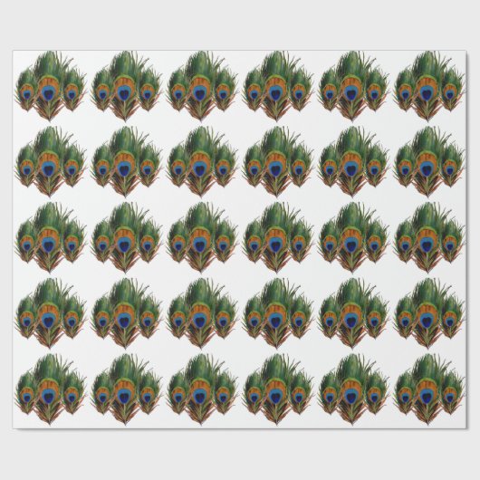 Papier Cadeau PixDezines plumes paon/do-it-yourself arrière - pl (Couture)