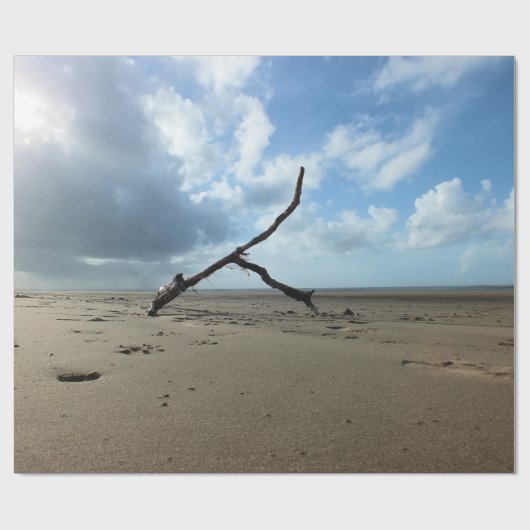 PAPIER CADEAU PLAGE (Plat)