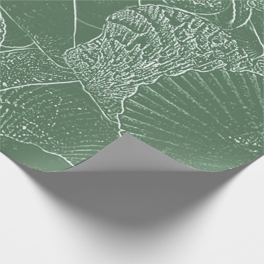 Papier Cadeau Plage Coastal Sea Shell Vert Blanc Découpage (Coin)