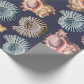 Papier Cadeau Plage Coquillages Spiraux & Coquilles de conque Cô (Coin)