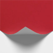 Papier Cadeau Plain (Coin)