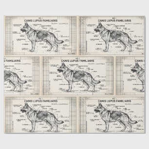 Papier Cadeau Plan de chien berger allemand