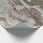 Papier Cadeau Plane tree camouflage looks bark pattern (Coin)
