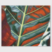 Papier Cadeau Plante de feuille verte (Plat)
