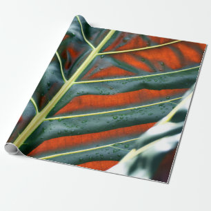 Papier Cadeau Plante de feuille verte