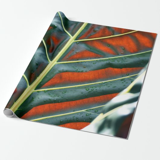Papier Cadeau Plante de feuille verte (Déroulé)