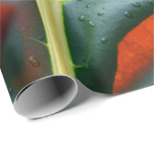 Papier Cadeau Plante de feuille verte (Coin rond)