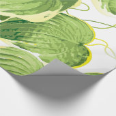 Papier Cadeau Plante de Ficus (Coin)