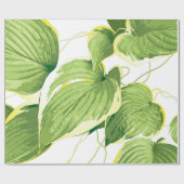 Papier Cadeau Plante de Ficus (Plat)