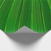 Papier Cadeau Plante feuille arrière - plan vert (Coin)