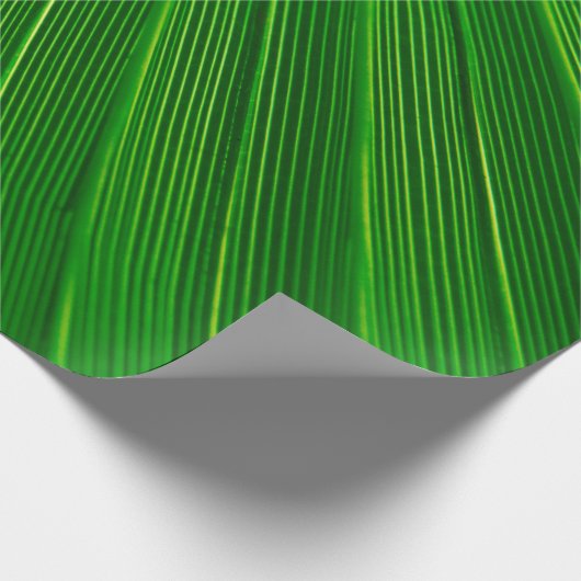 Papier Cadeau Plante feuille arrière - plan vert (Coin)