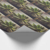 Papier Cadeau Plante Hen et Chicks (Coin)