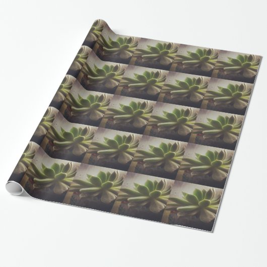 Papier Cadeau Plante Hen et Chicks (Déroulé)