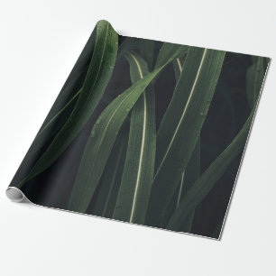 PAPIER CADEAU PLANTE VERT