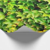 Papier Cadeau Plante vert de haie (Coin)