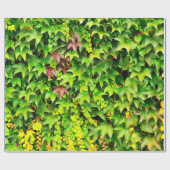 Papier Cadeau Plante vert de haie (Plat)