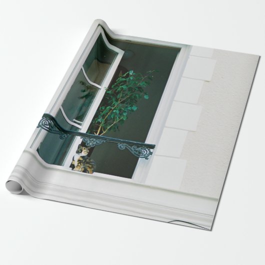 PAPIER CADEAU PLANTE VERT SUR FENÊTRE BLANCHE (Déroulé)