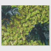 Papier Cadeau Plantes à feuilles vertes (Plat)