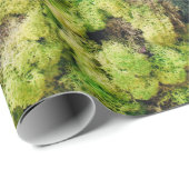 Papier Cadeau Plantes à feuilles vertes (Coin rond)