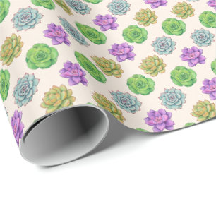 Papier Cadeau Plantes grasses